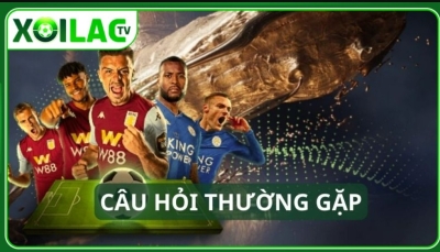 Xoilac-TV.one - Đối tác uy tín của kênh bóng đá Xoilac