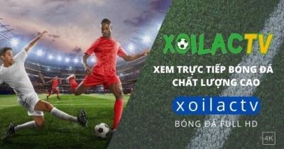 Xoilac TV - Nền tảng thưởng thức bóng đá hàng đầu Việt Nam